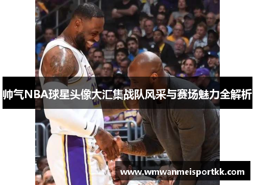 帅气NBA球星头像大汇集战队风采与赛场魅力全解析